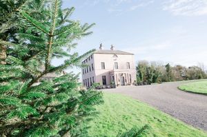 Boyne Hill House is a grand pink Georgian country house surrounded by lush green lawns and a tall pine tree under a bright blue sky.