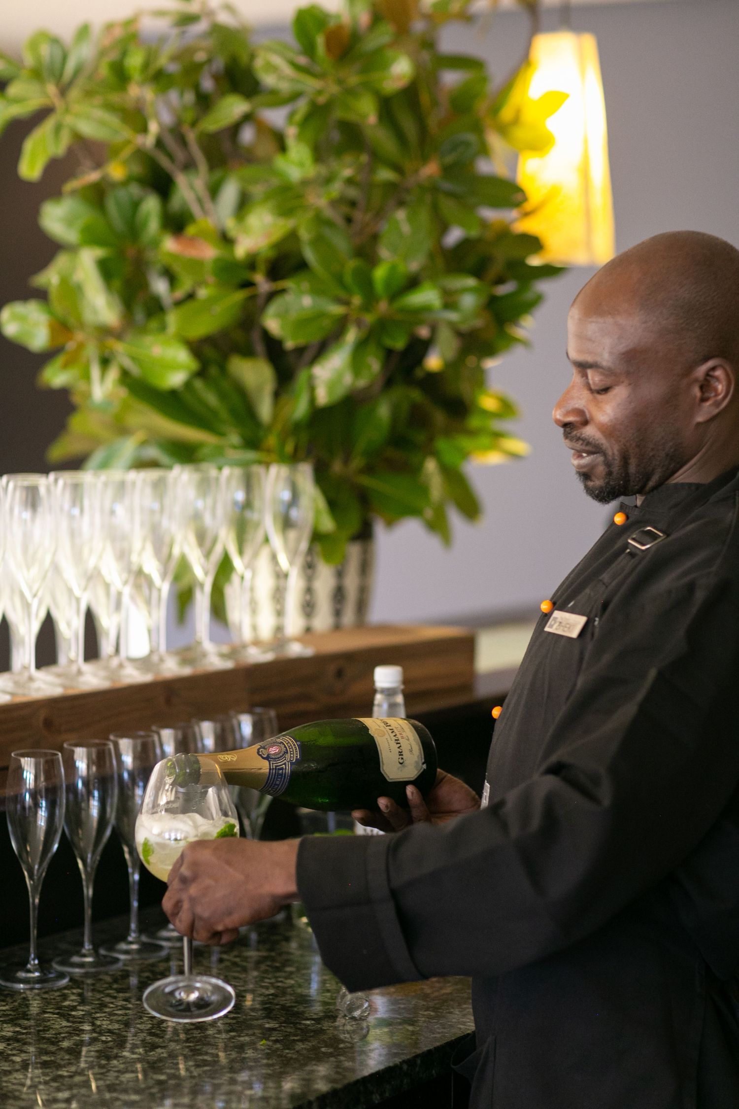 Bartender in black uniform pouring champagne into flute glasses at an elegant bar with green plants.