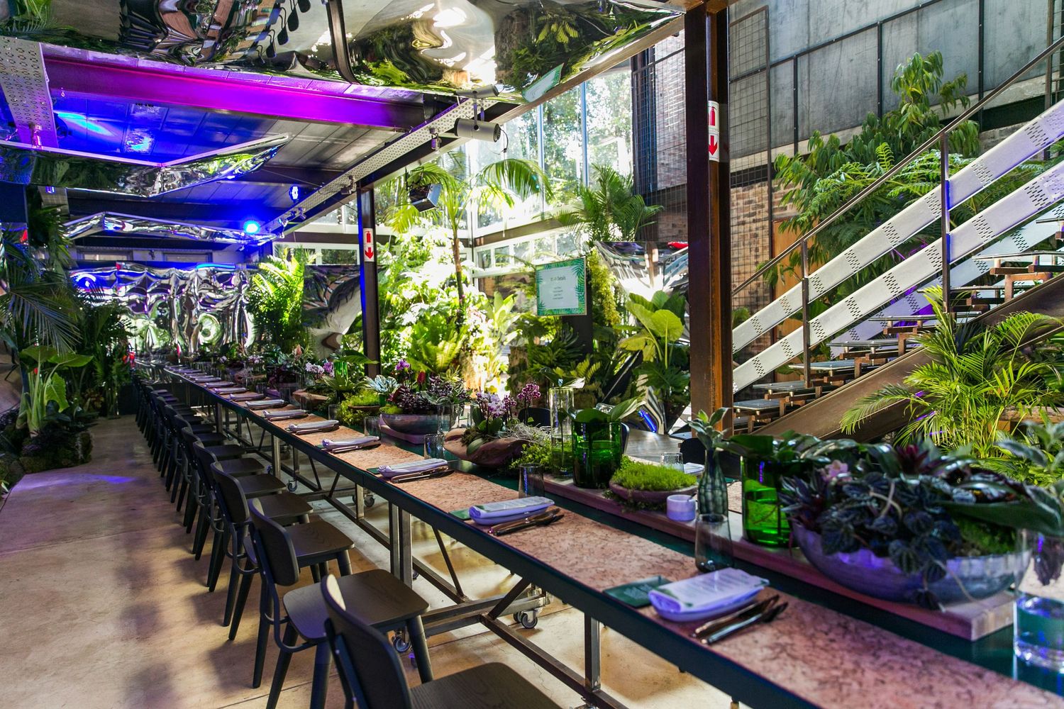 Lush indoor restaurant with long dining table surrounded by tropical plants under purple LED lighting.