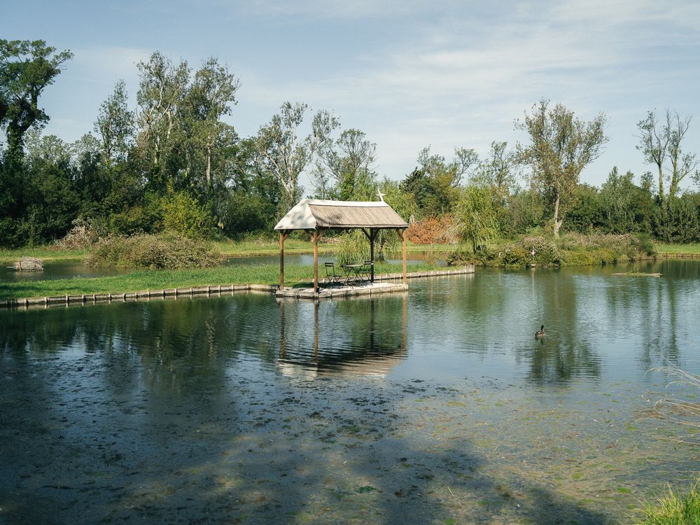 A serene pond with a thatched gazebo on a wooden dock, surrounded by lush green trees under a clear sky.