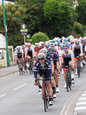A large peloton of cyclists in colorful helmets and jerseys races down a tree-lined road during a competitive cycling event.