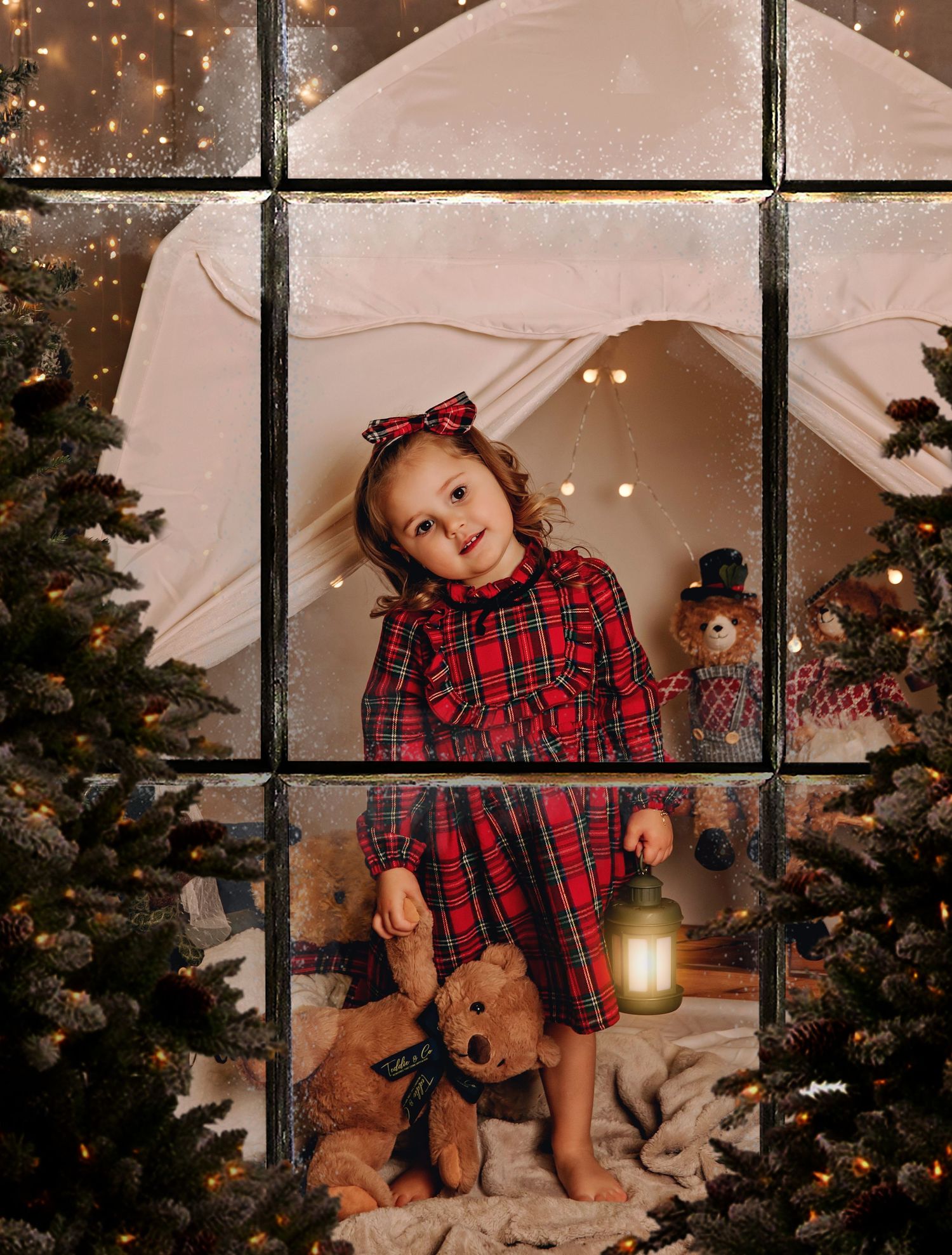 christmas photoshoot westmeath