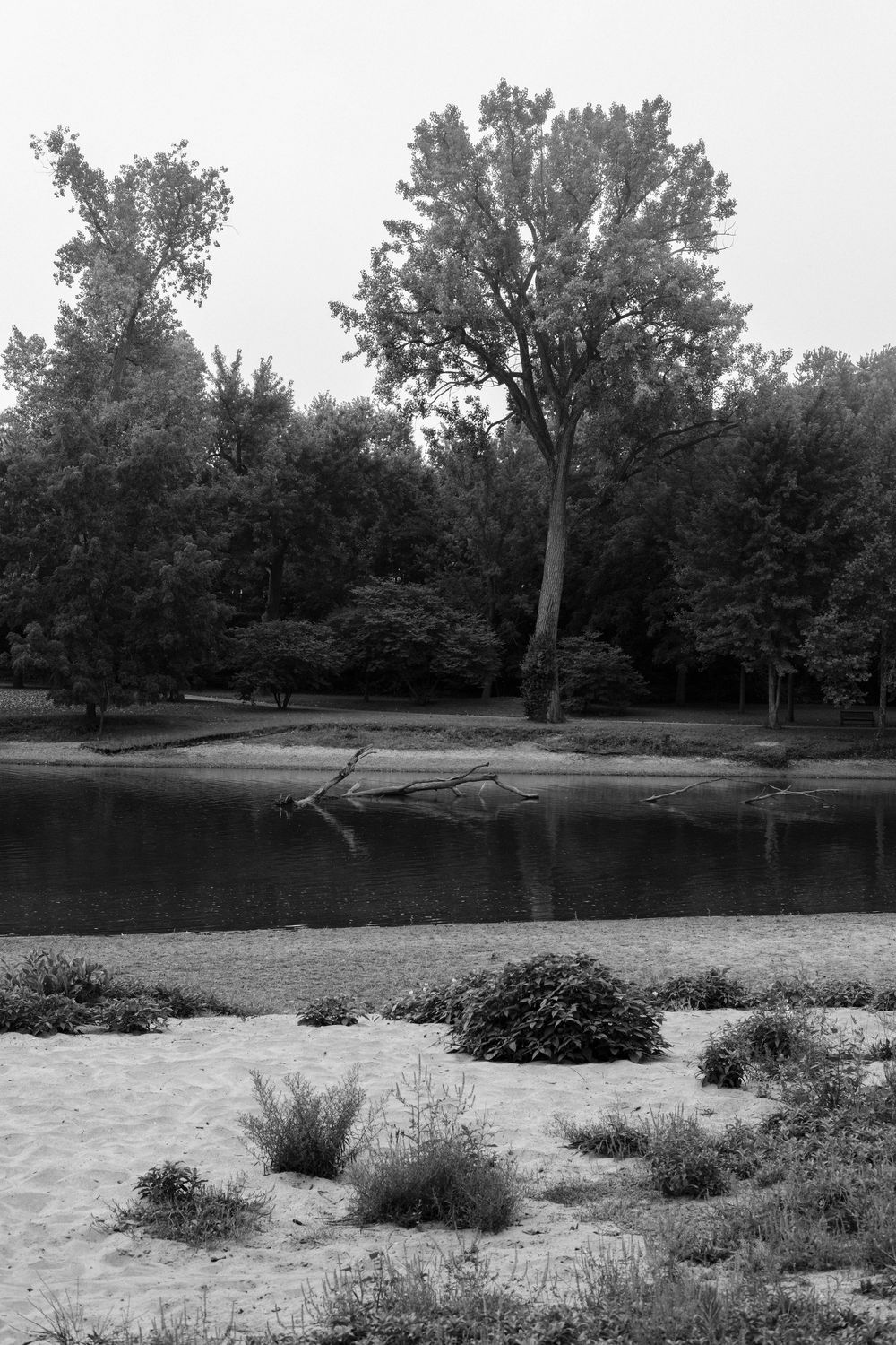 Belvidere Park in Belvidere, IL. September 6, 2026. Photo: David Manning.