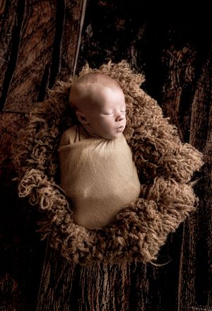 Newborn baby wrapped in tan swaddle nestled in a brown fluffy basket on dark wood.
