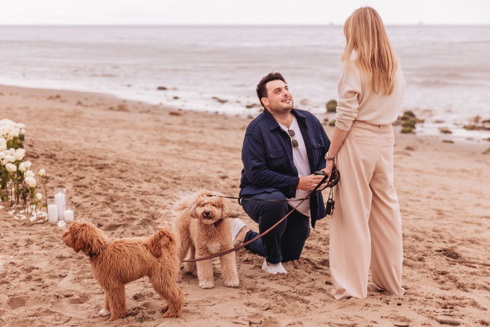 A couple shares a special moment on the beach with their golden retriever dogs.