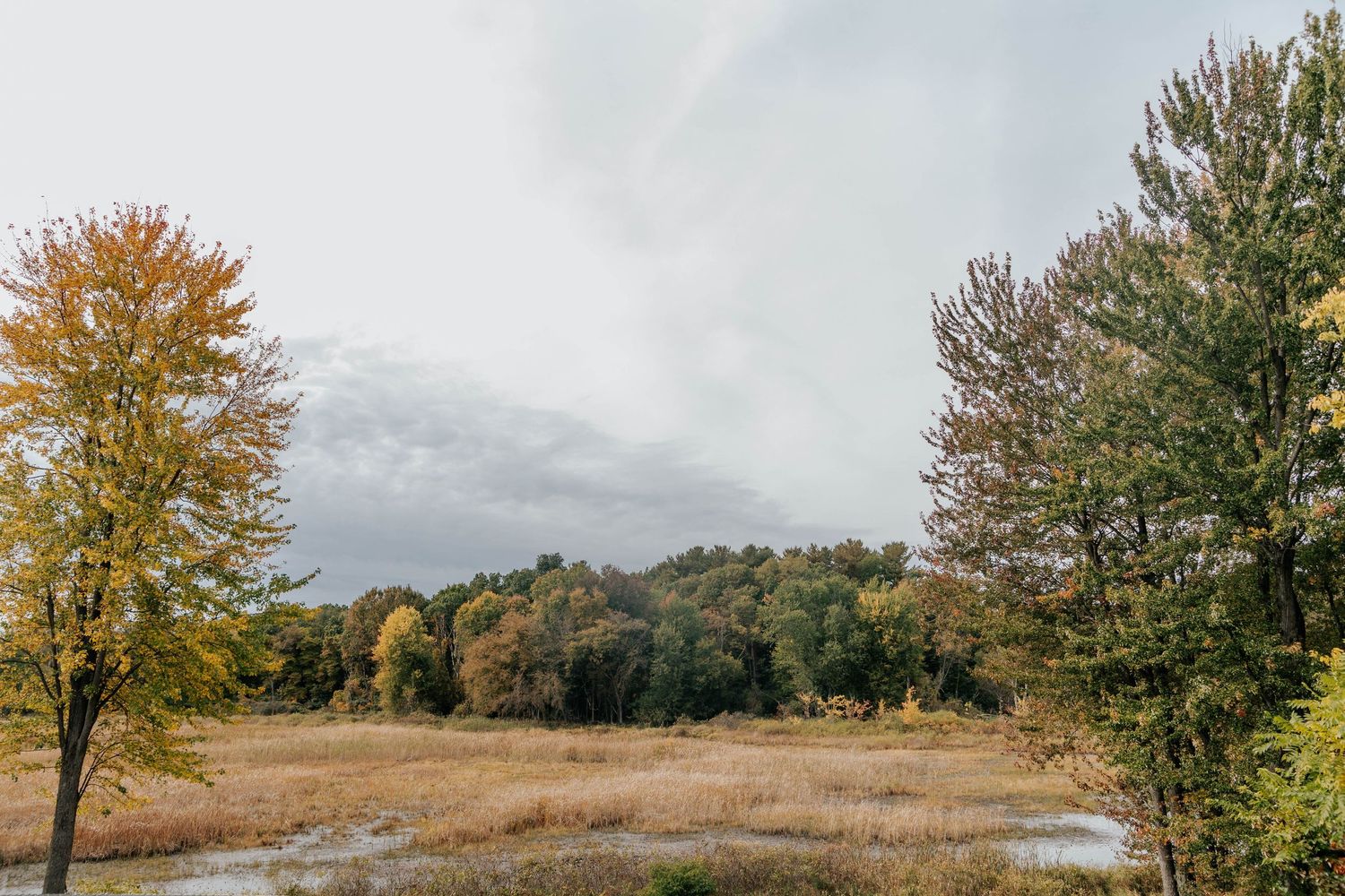 Autumn landscape with colorful trees surrounding a misty meadow under a cloudy sky.