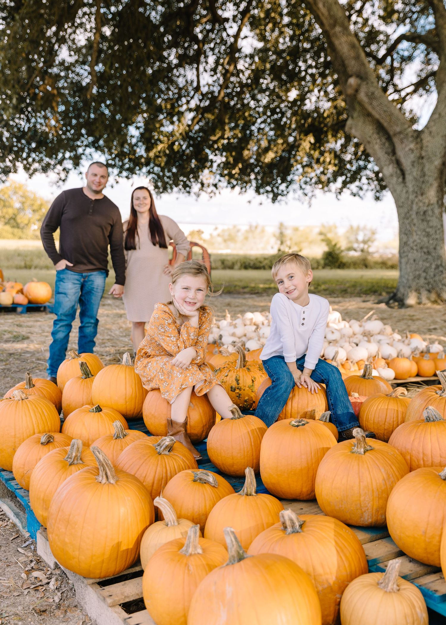Two smiling children sit on a pile of orange pumpkins at a pumpkin patch while their parents stand behind them under a large tree.
