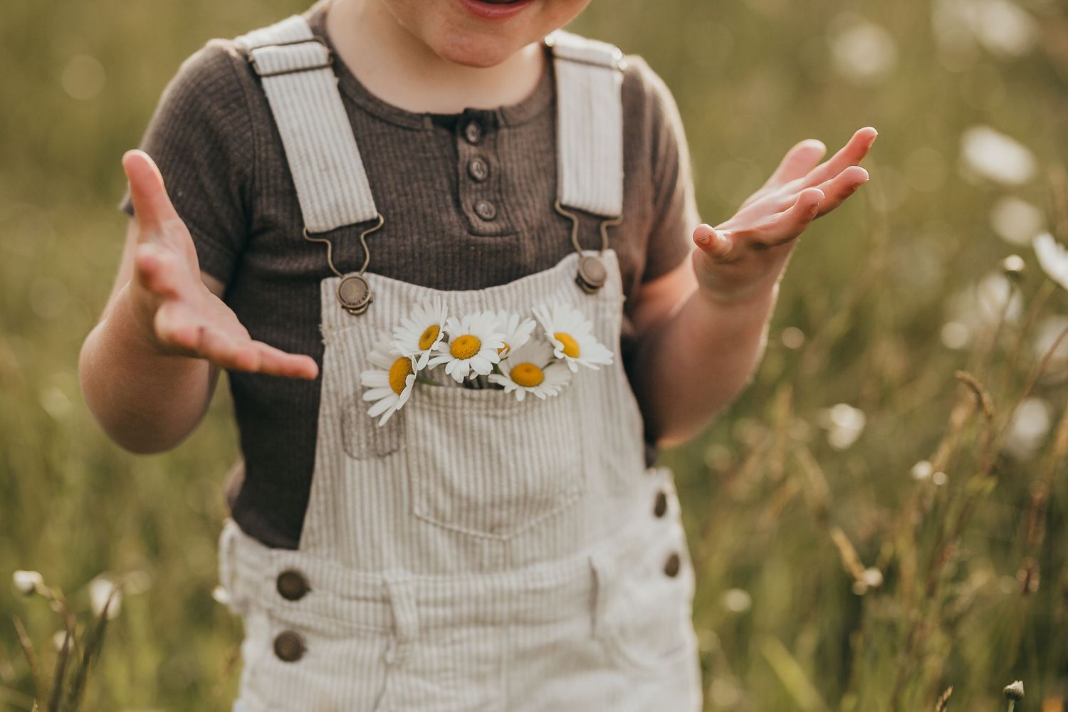Waikato Family Photographer, Hamilton Family Photographer, Te Awamutu Family Photographer, Otorohanga Family Photographer