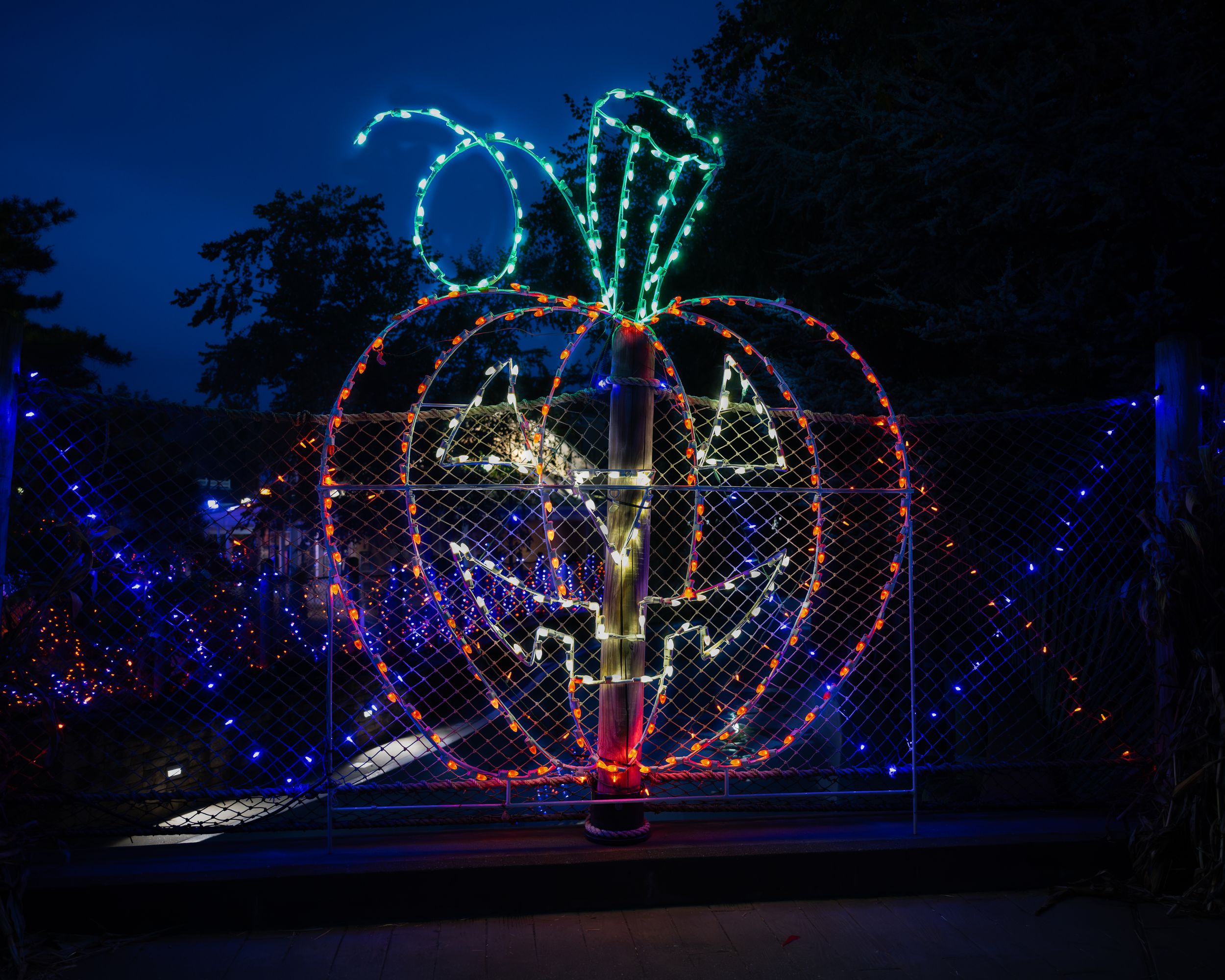 Colorful LED light display forming a glowing pumpkin shape with multicolored string lights against a dark night sky.