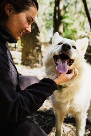 A smiling woman in a black fleece pets a happy white fluffy dog with tongue out in a sunlit forest.