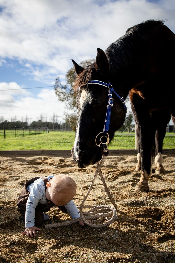 Baby crawling in sand next to a dark brown horse wearing a blue halter on a sunny farm.