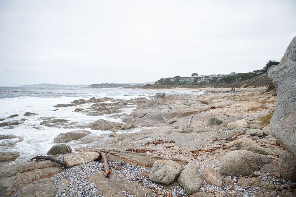 Rocky coastline with large weathered boulders and driftwood beside gentle ocean waves under an overcast sky, with distant hills and houses.