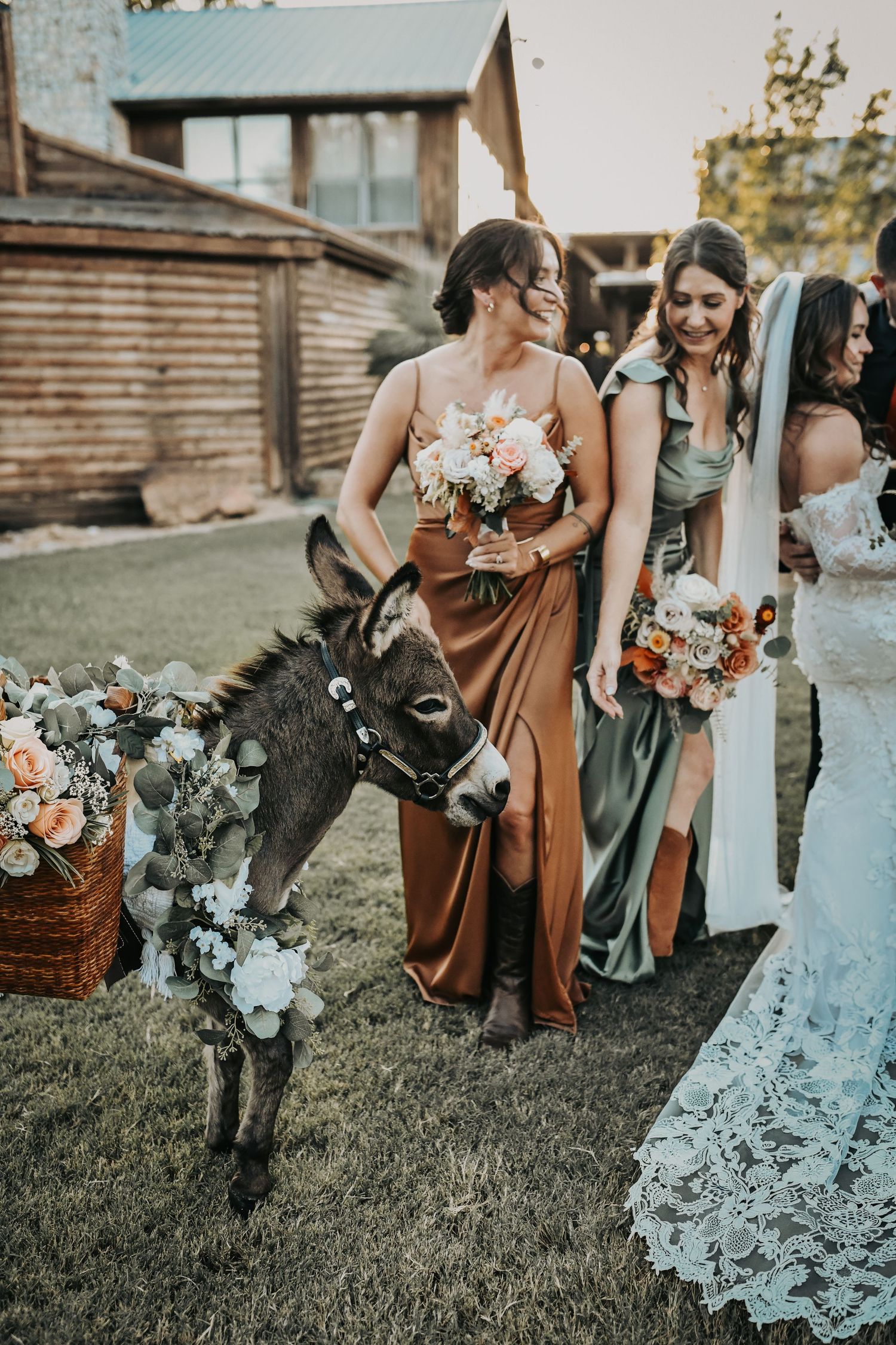 Wedding party posing with donkeys at Lucky Spur Ranch