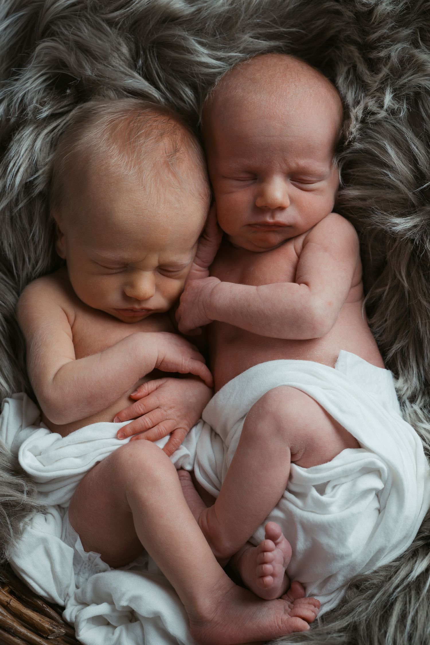 Two sleeping newborn twins swaddled in white cloths lie curled together on a soft gray fur blanket in a cozy newborn photoshoot.