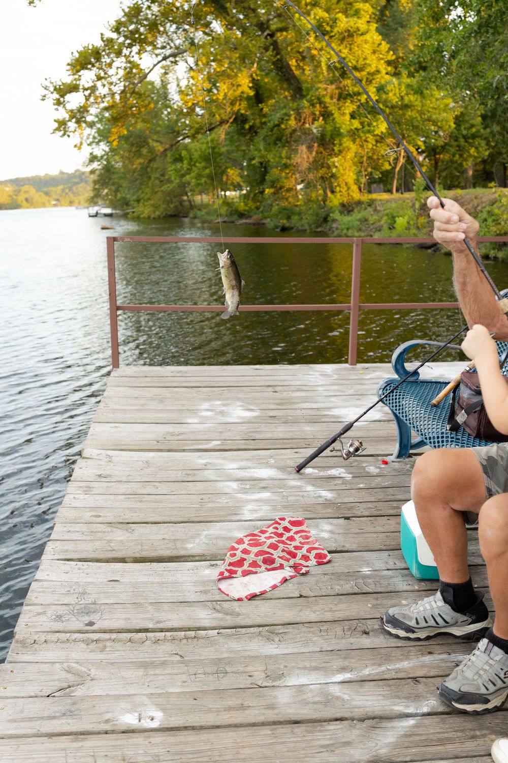 Angler seated on a wooden dock reeling in a fish dangling from the line over a calm lake with autumn trees along the shore.