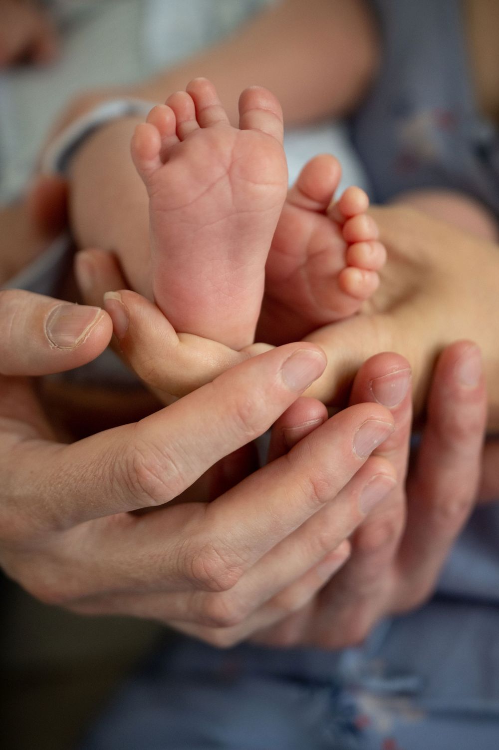 Close-up of a newborn baby's tiny bare feet cradled gently in the warm hands of two parents.