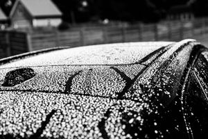 Black and white close-up of water droplets on a car hood with a blurred background.