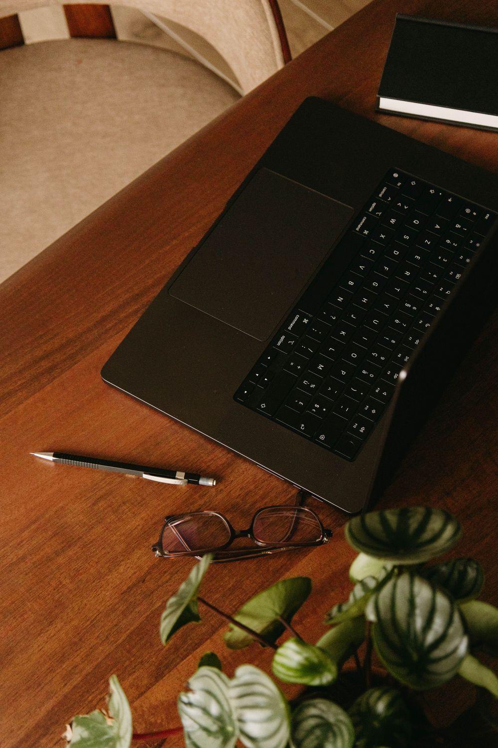 Laptop, pen, glasses, and plant arranged on wooden desk from above.