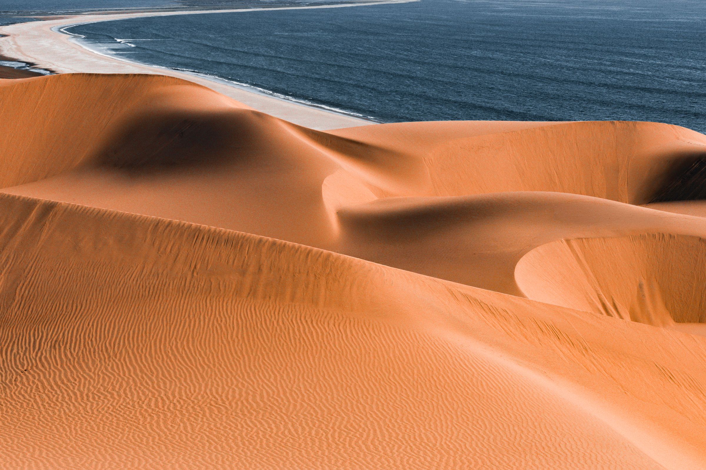 Catamaran cruising along the Namibian coast with marine wildlife nearby
