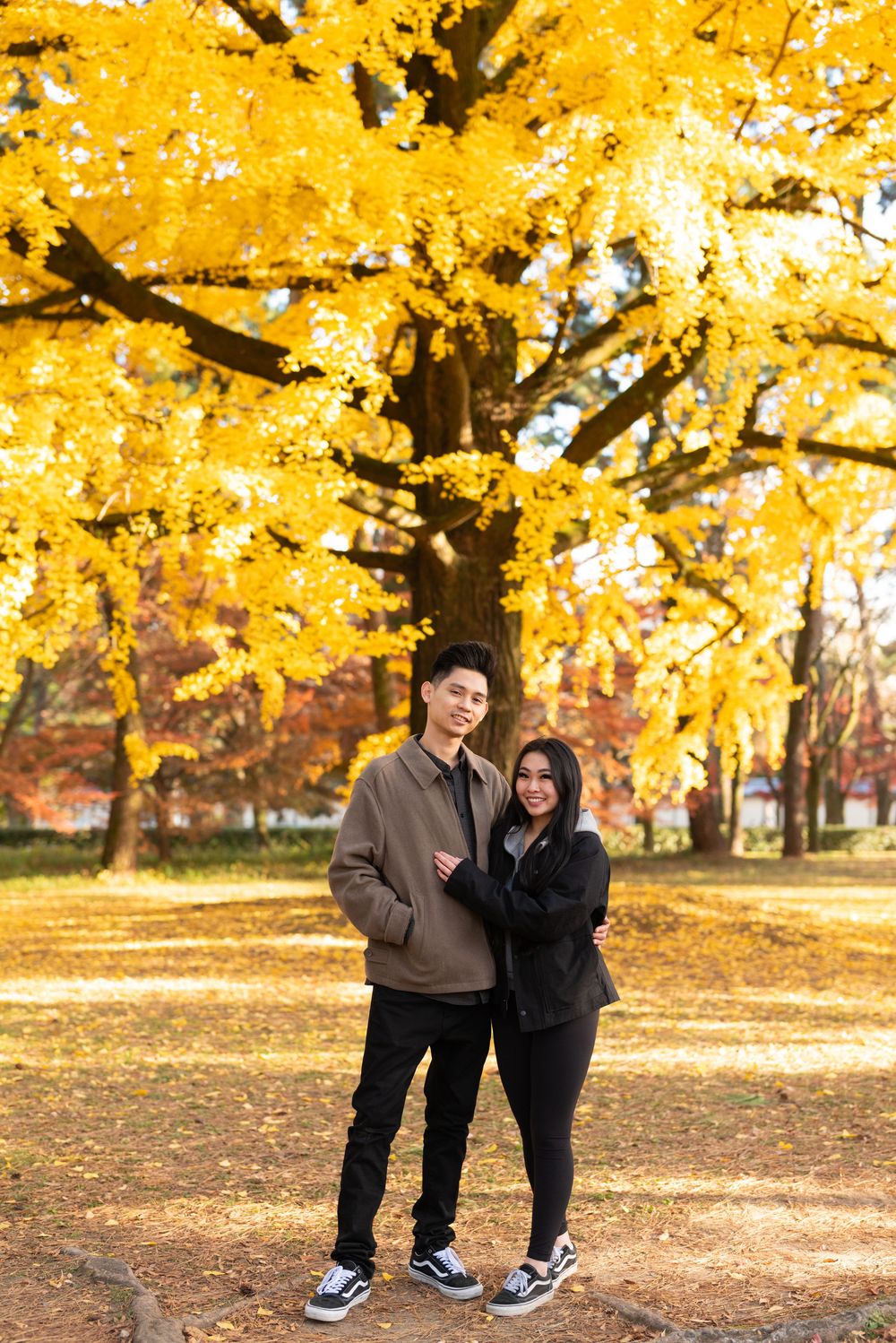Couple in dark casual outfits embrace and smile beneath a large golden ginkgo tree on a sunny autumn day in a leaf-covered park.