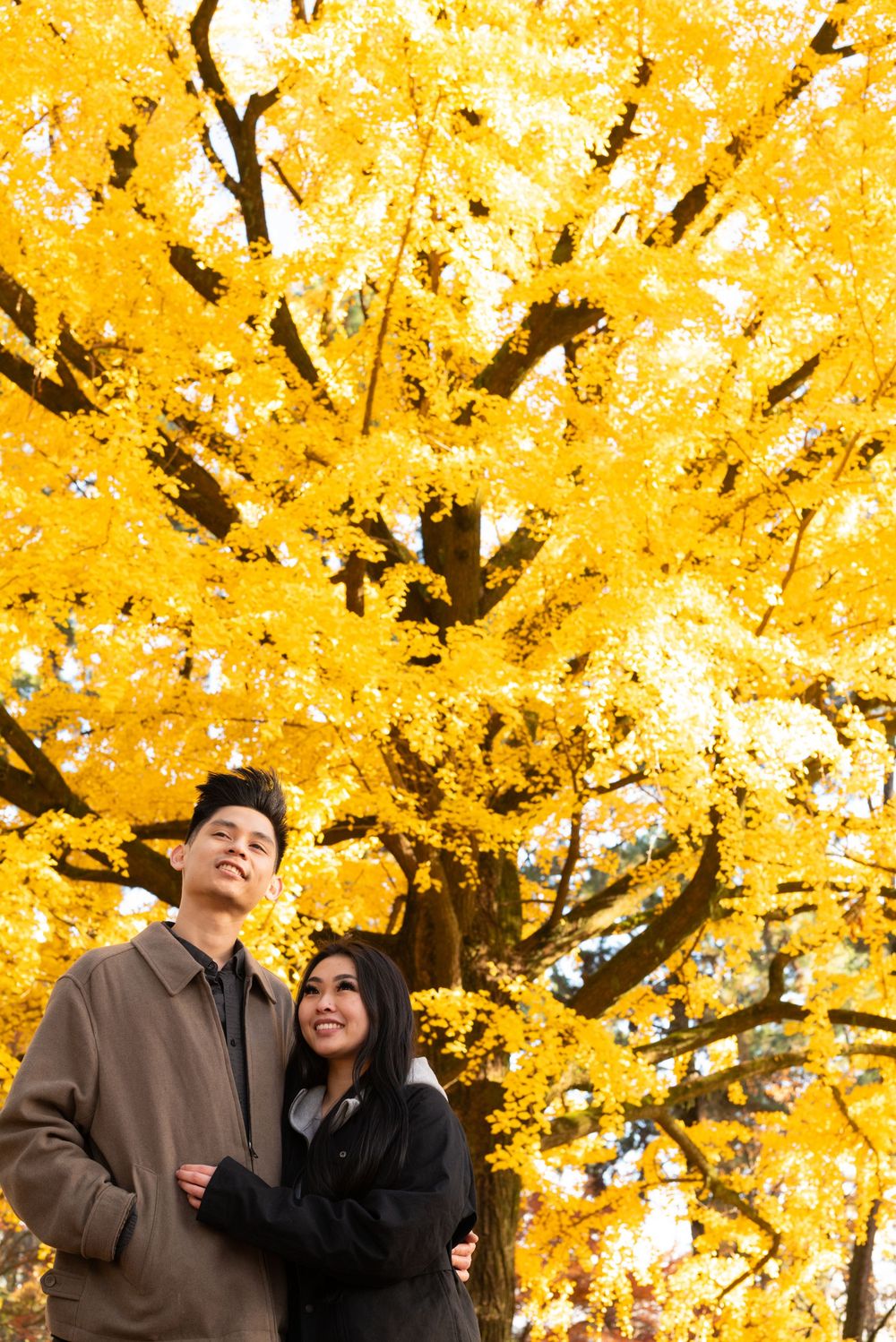 Smiling couple in warm coats stand close together beneath a large ginkgo tree glowing with golden yellow autumn leaves.