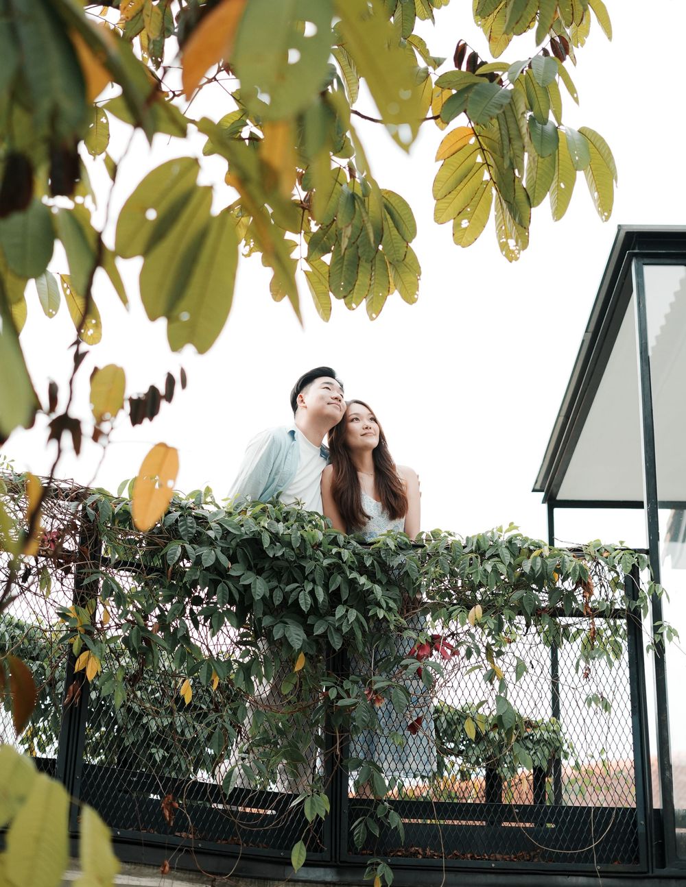 Couple standing on a lush green balcony surrounded by tropical leaves, sharing a romantic moment outdoors.