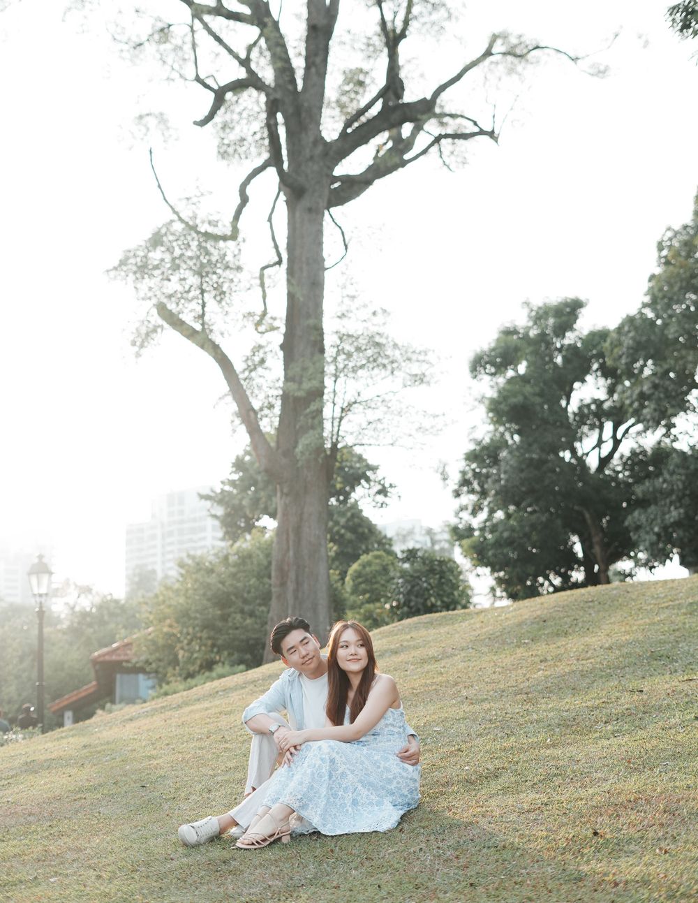 Couple sitting together on a grassy hill beneath a large tree in a park, wearing light blue outfits.