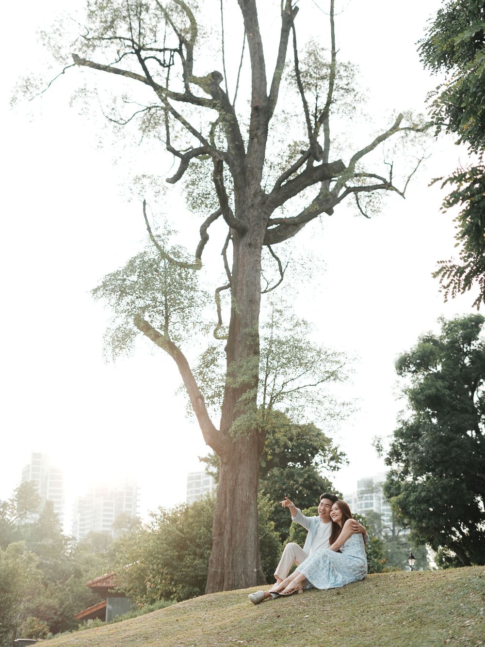 Couple sitting together on a grassy hill beneath a large bare tree in a lush park setting.