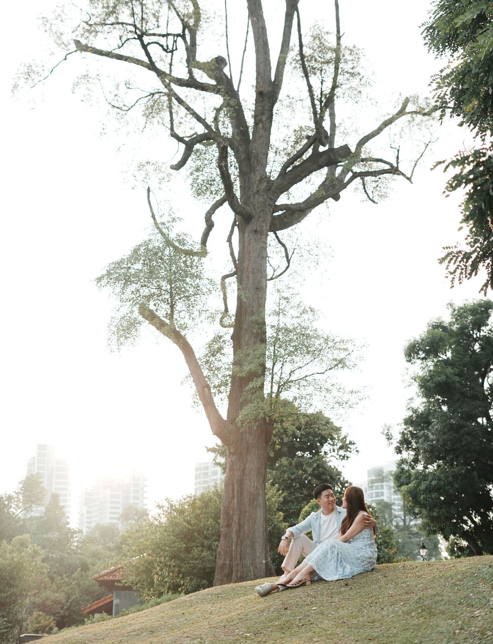 Couple sitting together on a grassy hill beneath a large tree in a lush park with city buildings in background.