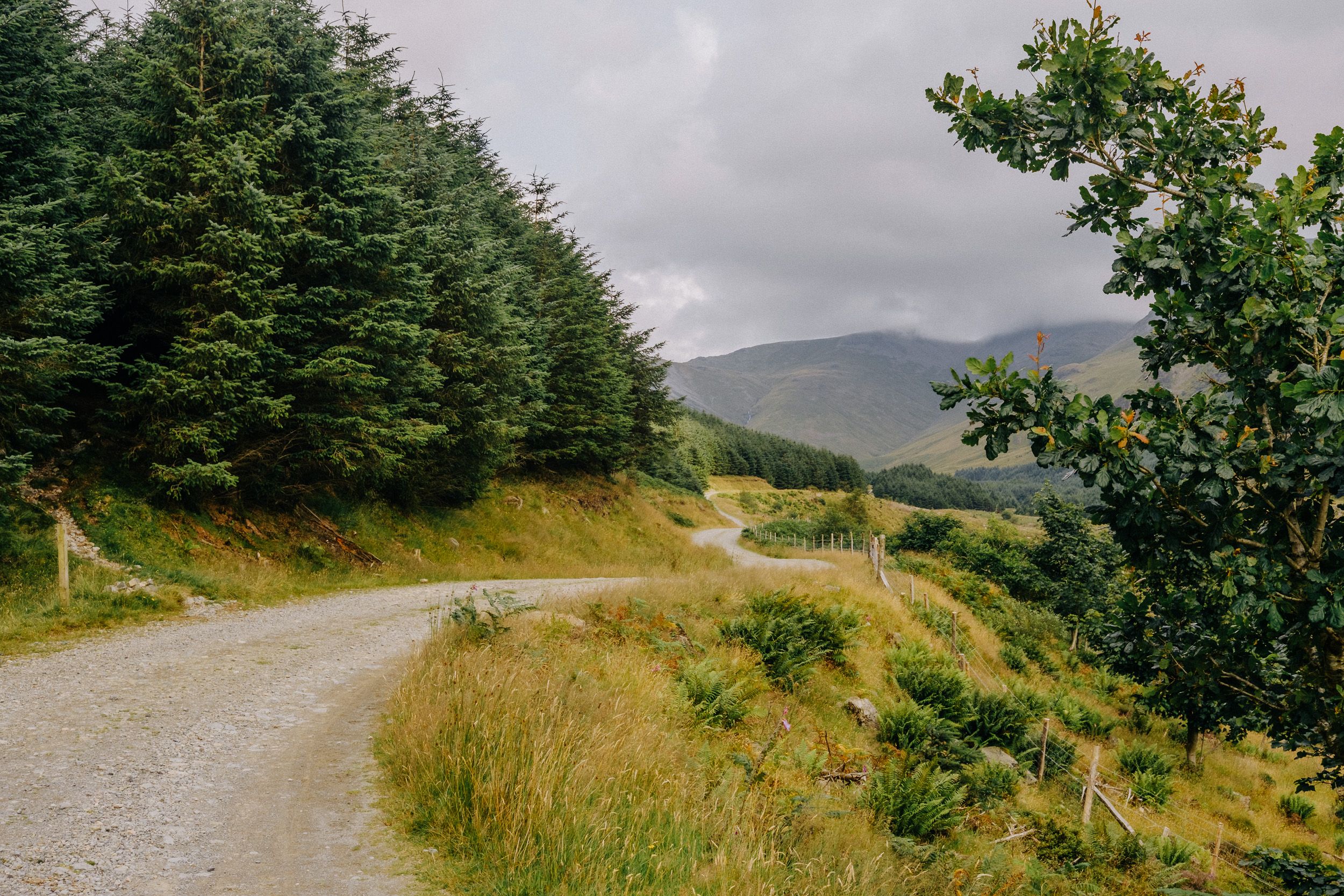 A winding gravel path through lush green forest and mountains under overcast skies in Ireland.