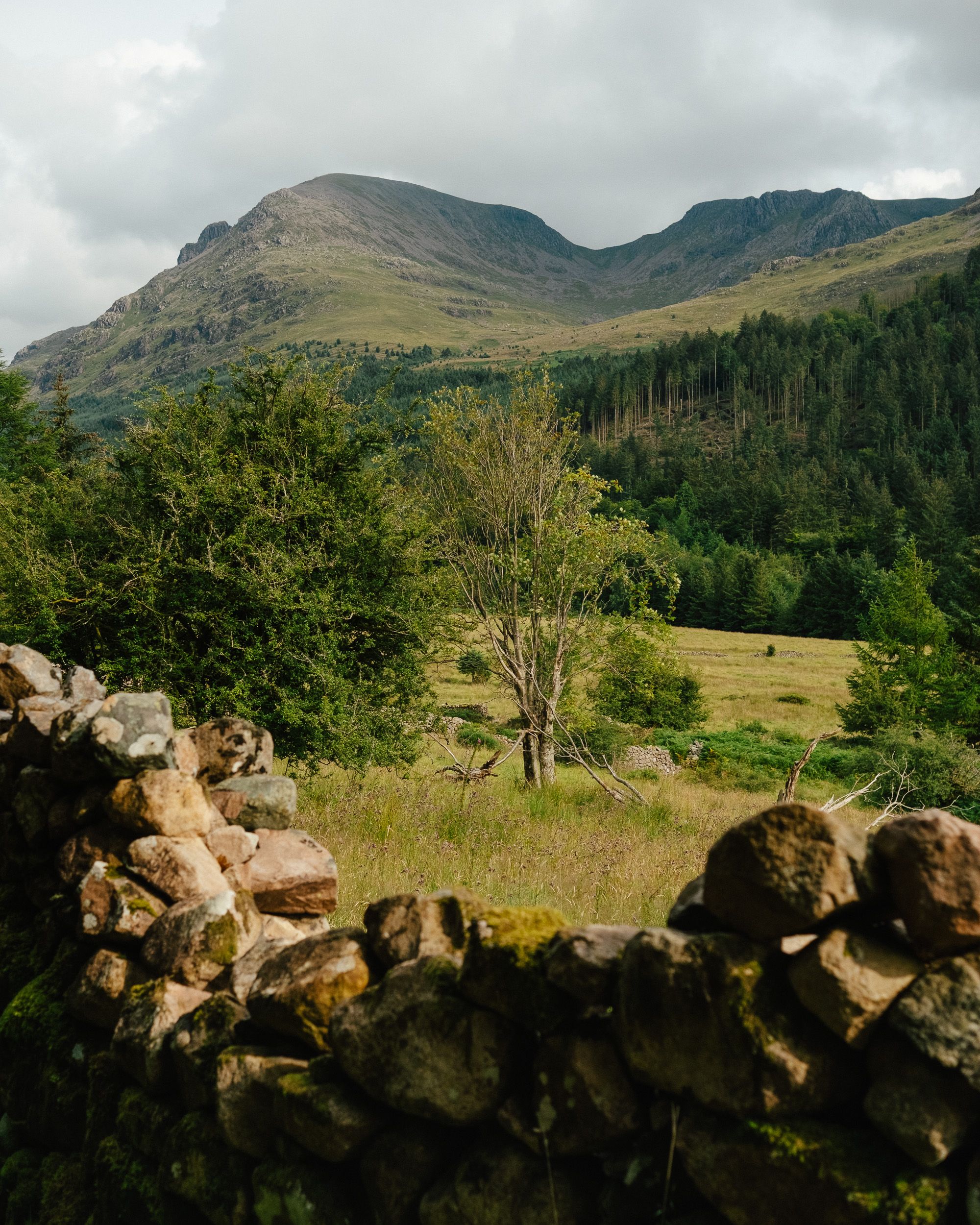 A rustic dry stone wall frames a lush green valley with a lone tree, dense forest, and a dramatic mountain under cloudy skies.