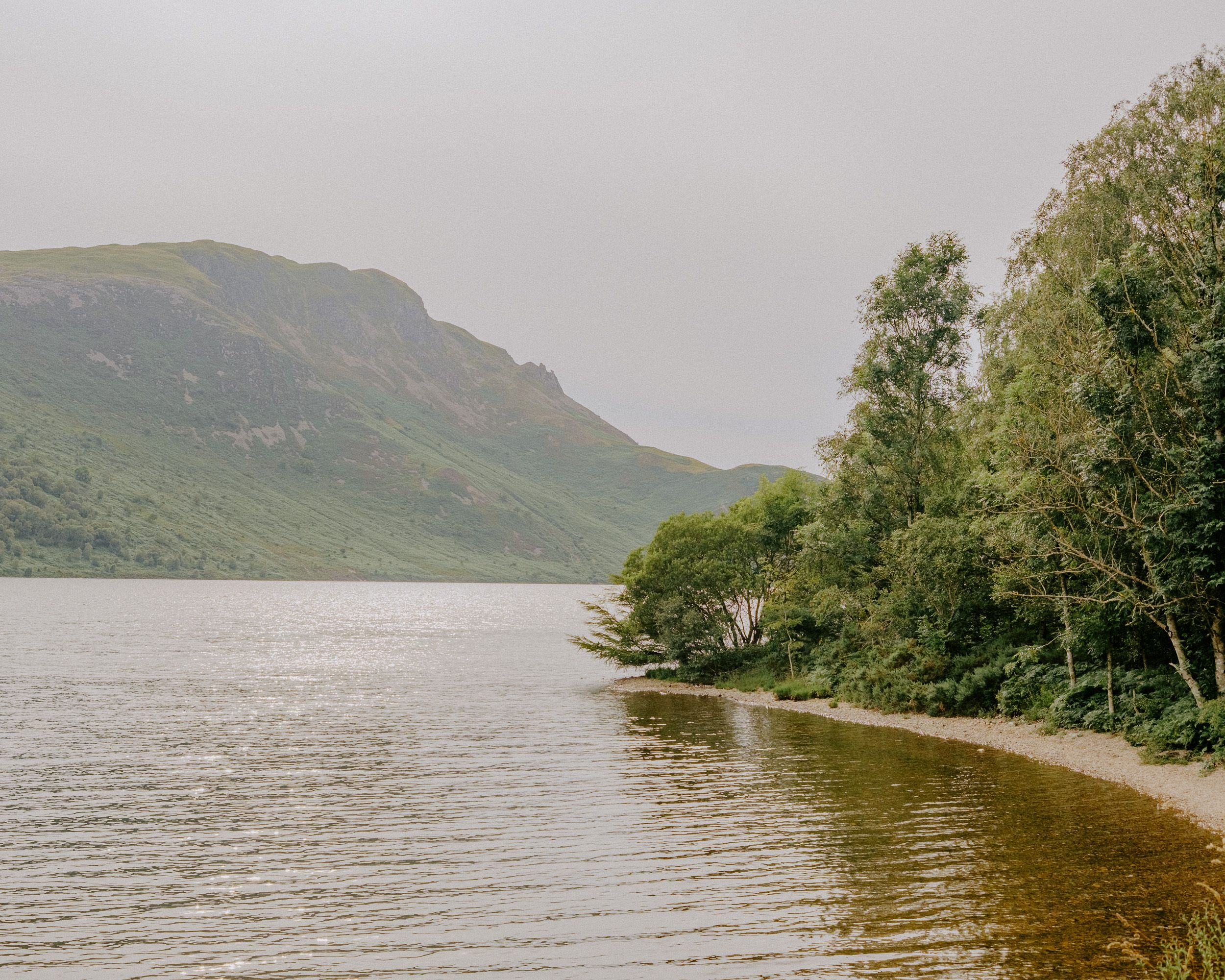 Serene Scottish loch with calm brown waters, lush green trees along the shore, and a misty mountain backdrop.