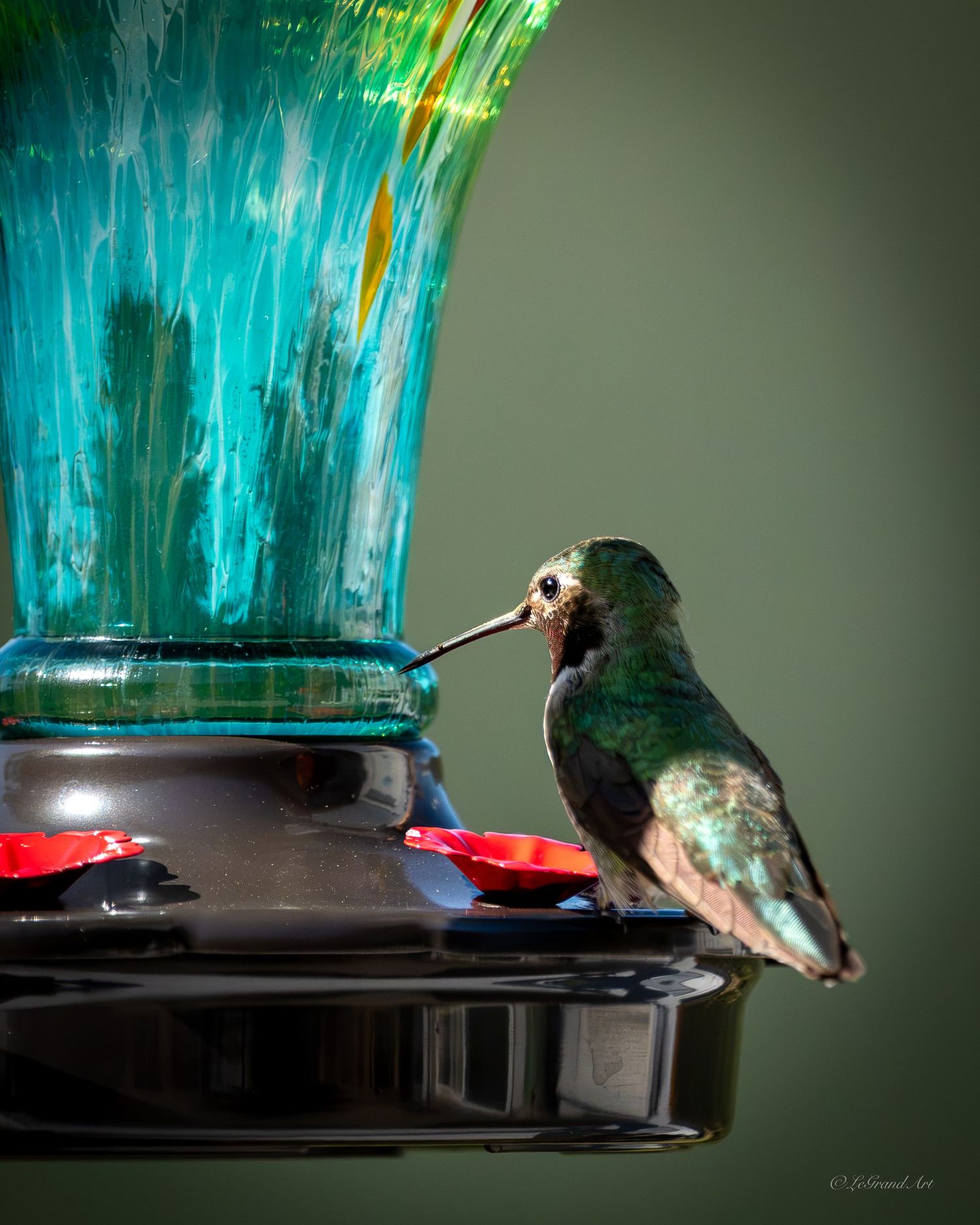 Green hummingbird perched on a decorative teal glass feeder, drinking nectar.