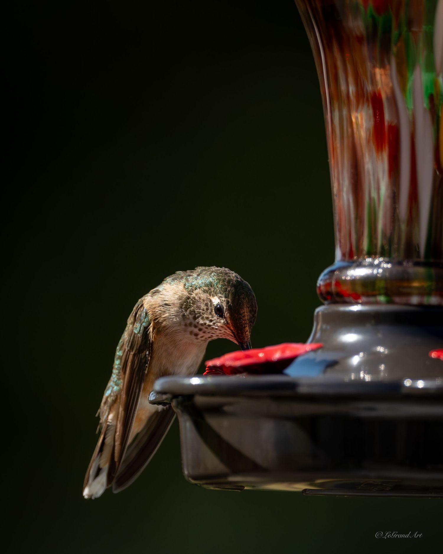 A hummingbird drinking from a decorative glass hummingbird feeder with red ports.