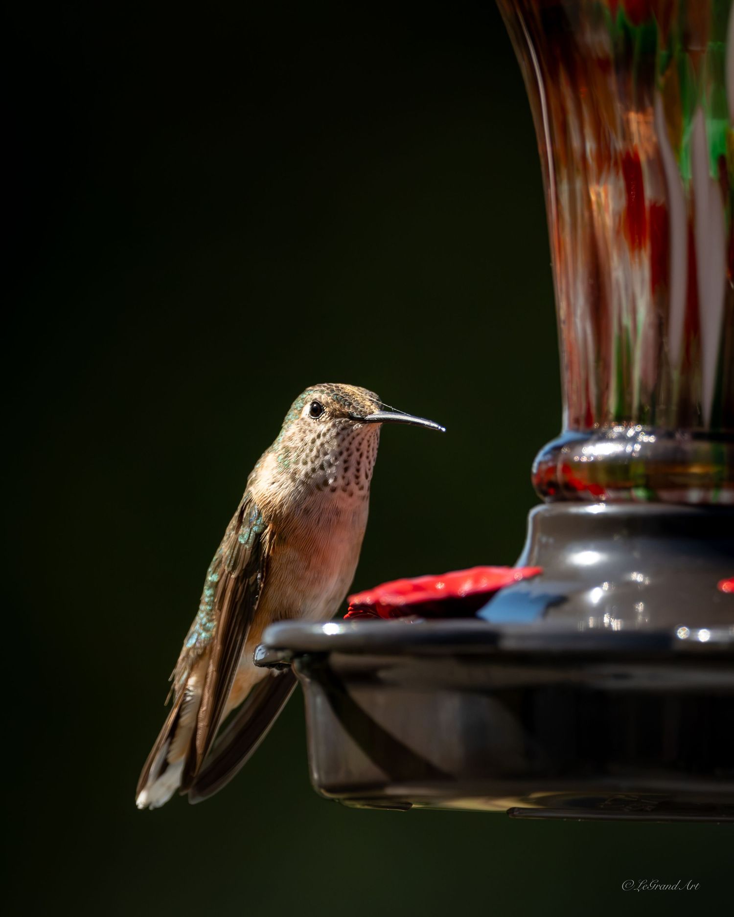 A hummingbird perched on a colorful blown glass hummingbird feeder outdoors.