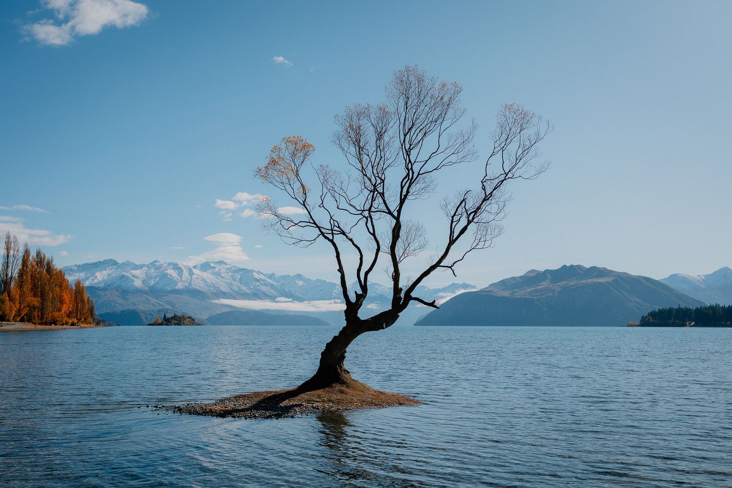 A lone bare tree stands on a small rocky island in a calm lake with snow-capped mountains in the background.