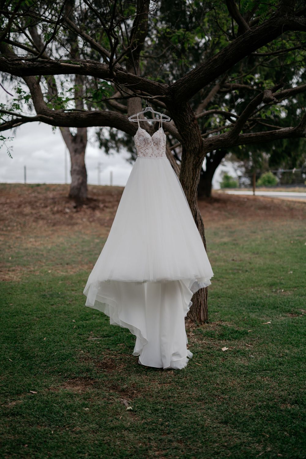 White tulle wedding dress hanging from a tree branch in an outdoor setting.