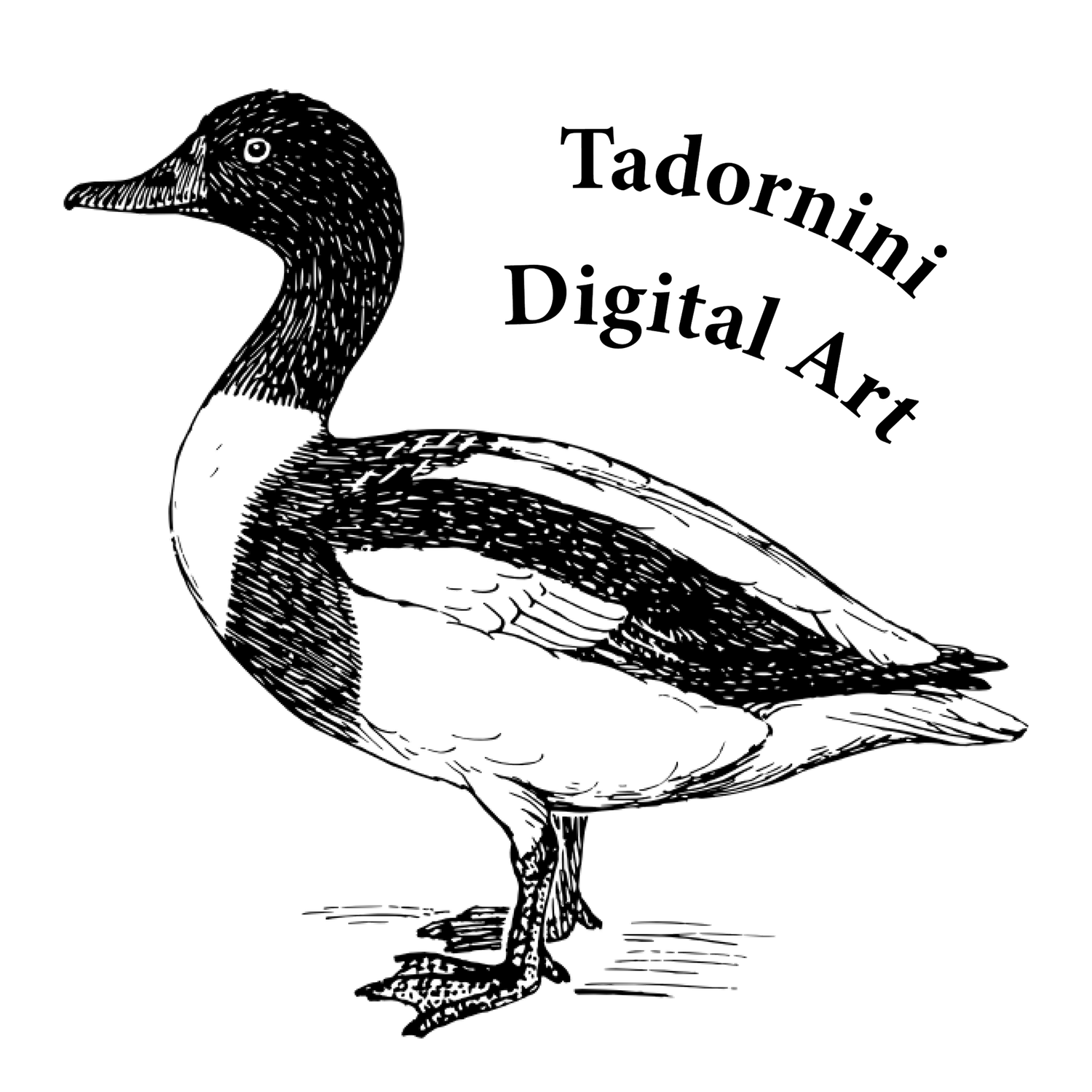 Black and white ink drawing of a duck with Tadornini Digital Art text logo on white background.