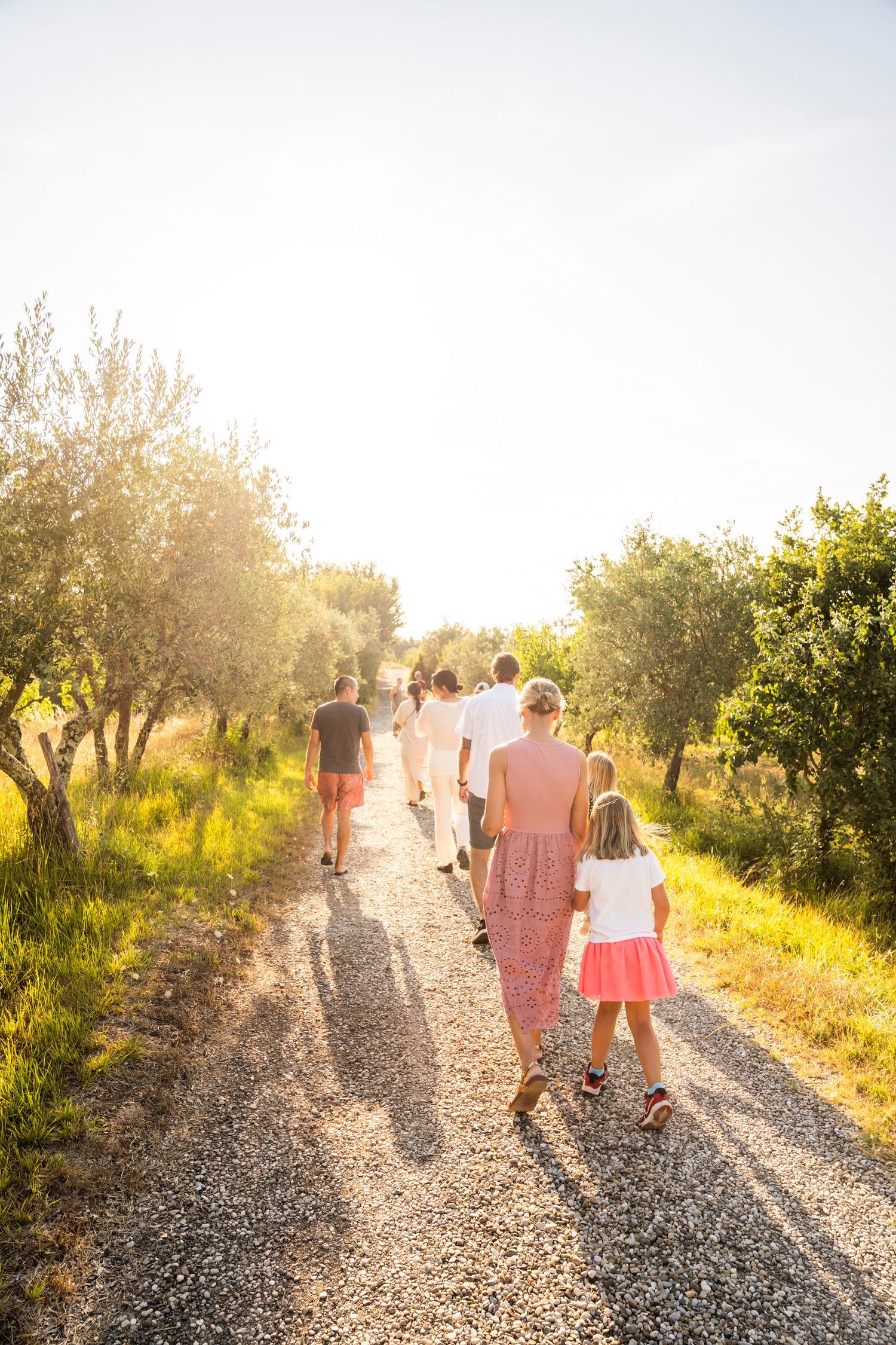 Bride and groom walking together in sunlit garden at outdoor wedding reception venue.