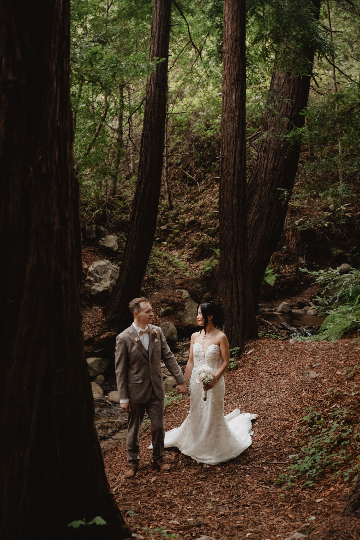 big sur redwood elopement photos
