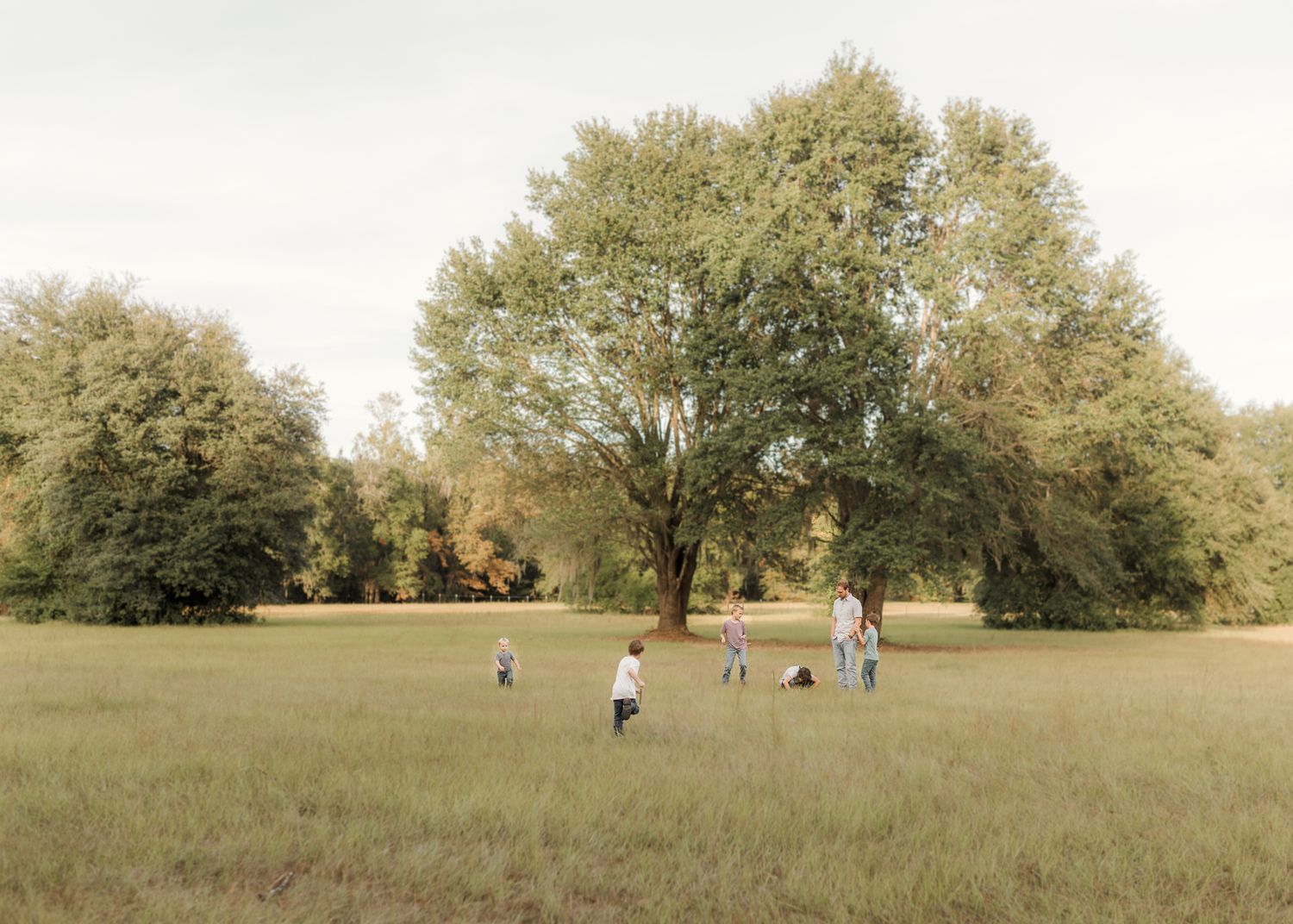 Family playing in a lush green meadow surrounded by tall trees on a calm, overcast day.