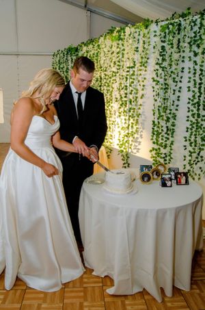 A couple cuts their wedding cake together at their reception with a greenery wall backdrop.