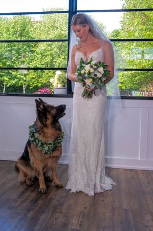 A German Shepherd wearing a leafy green collar poses with someone in a white lace wedding dress holding a floral bouquet.