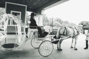 Vintage black and white photo of a horse-drawn carriage with decorative white frame.