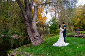 Wedding couple standing on green lawn with large tree and autumn foliage in background.