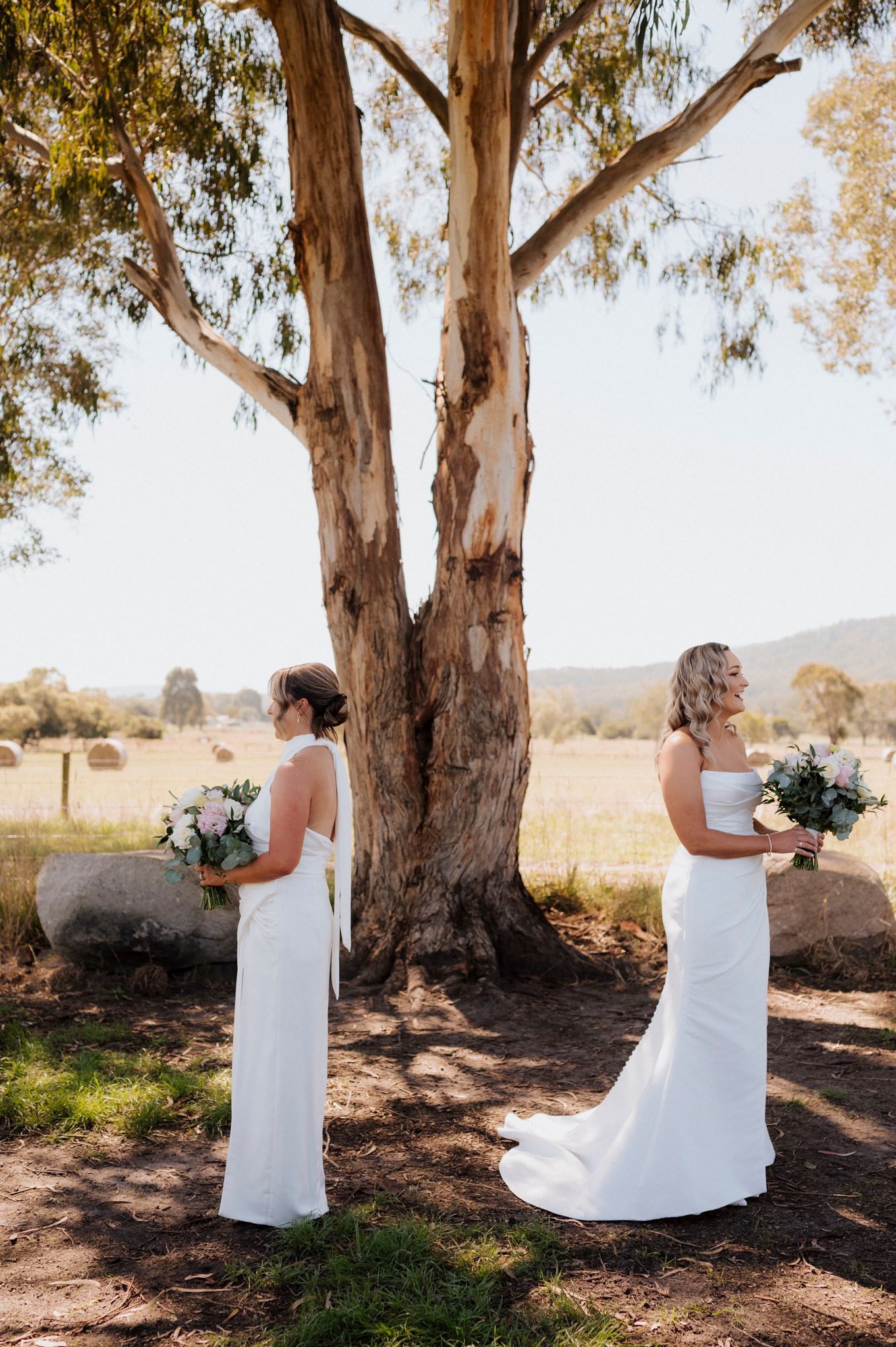 Two brides in white gowns holding bouquets stand beneath a large eucalyptus tree in a scenic rural landscape.