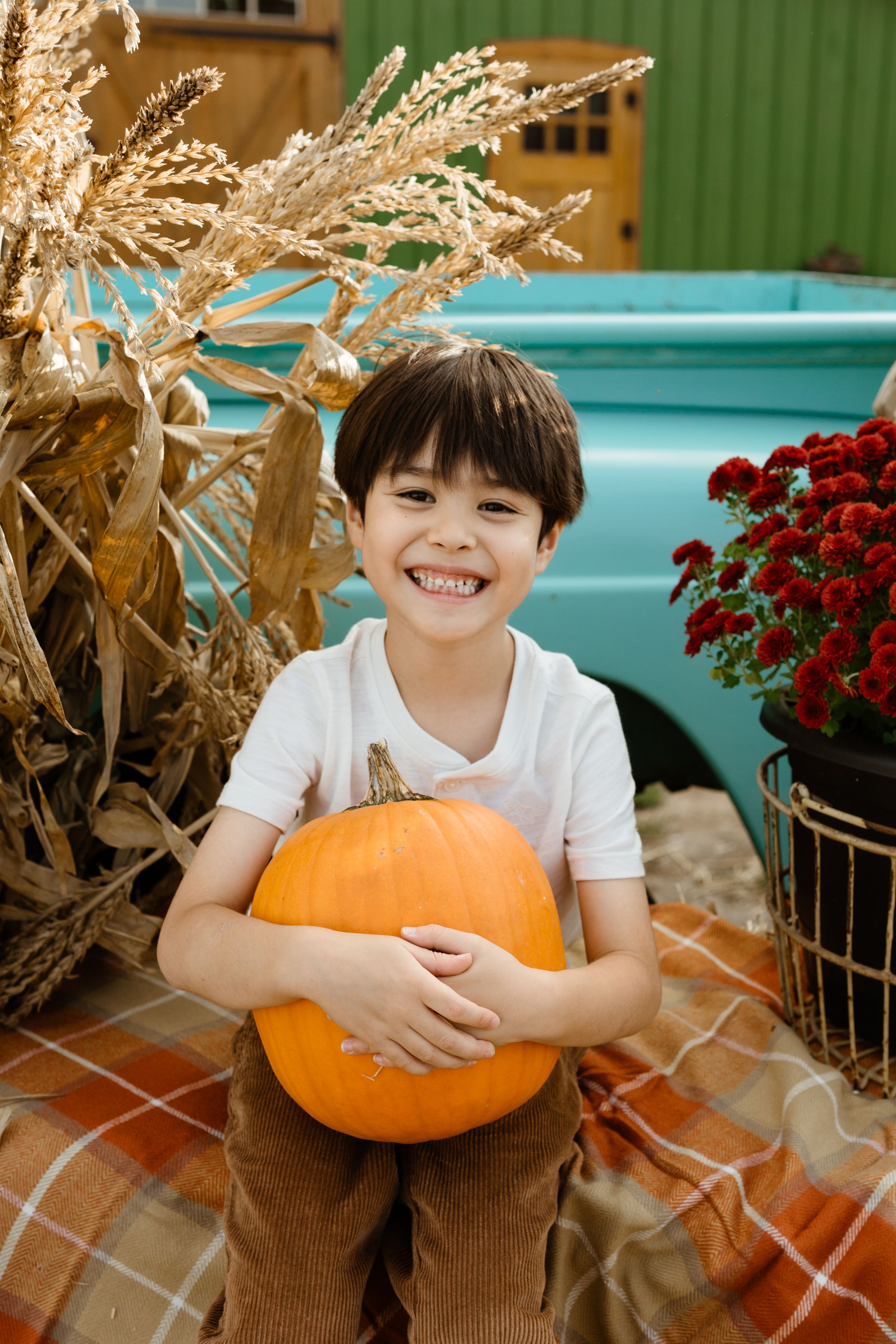 Smiling boy holding a large orange pumpkin on a plaid blanket with dried corn stalks and red mums near a teal truck.