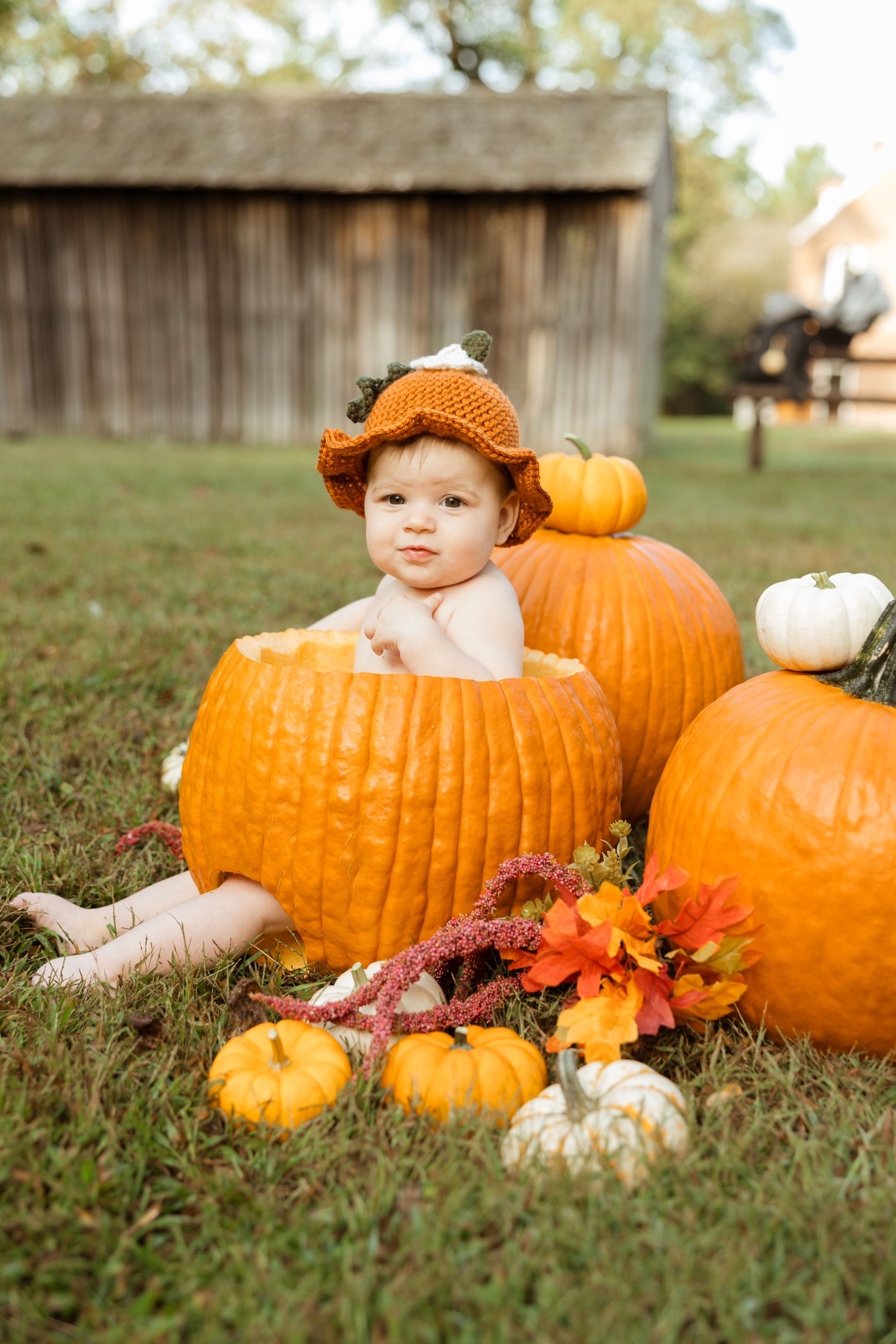 Adorable baby sitting inside a carved pumpkin wearing an orange knit hat, surrounded by colorful fall pumpkins outdoors.