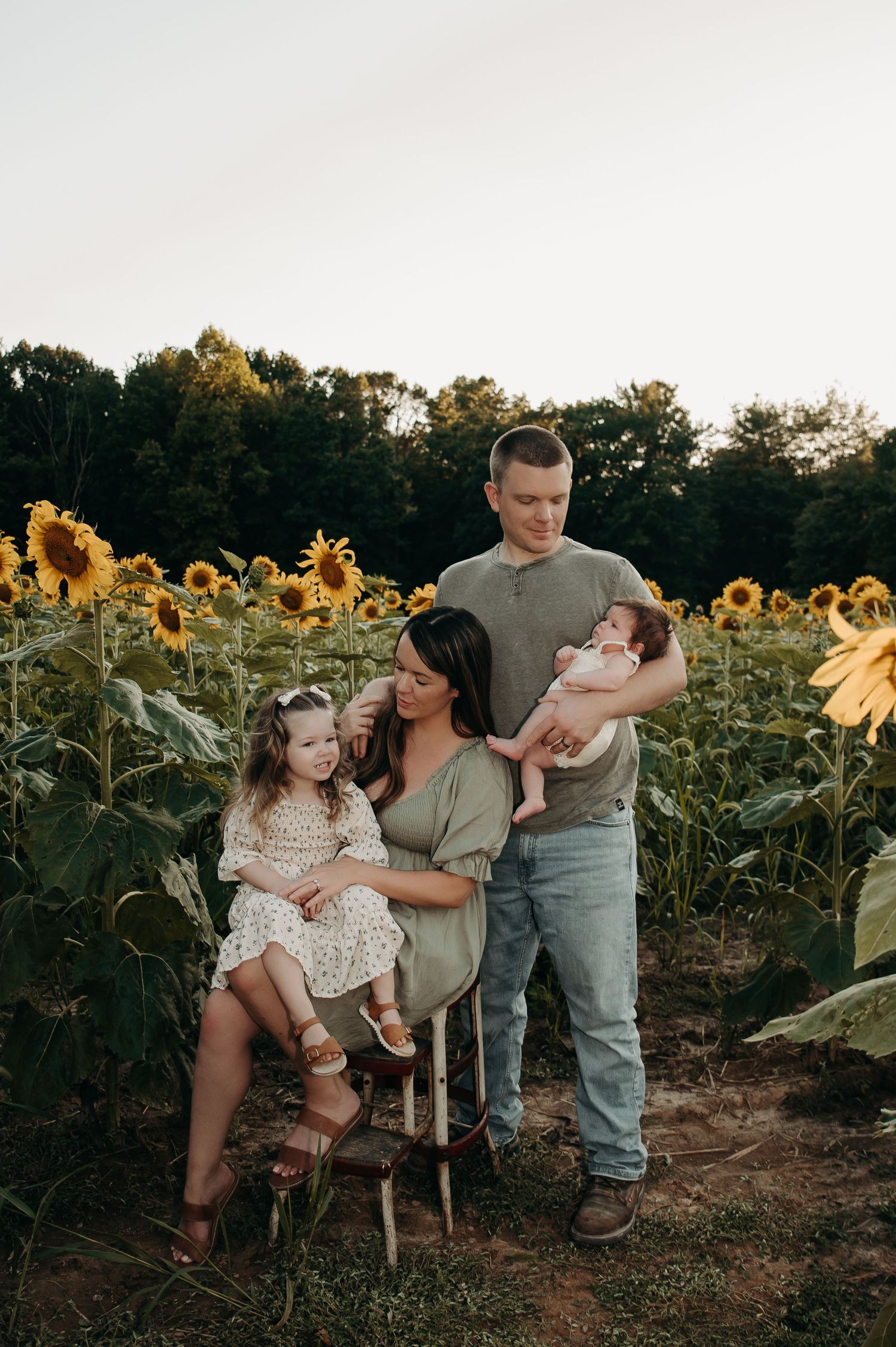Family of four posing in a sunflower field at golden hour, mother seated with toddler girl, father holding newborn baby.