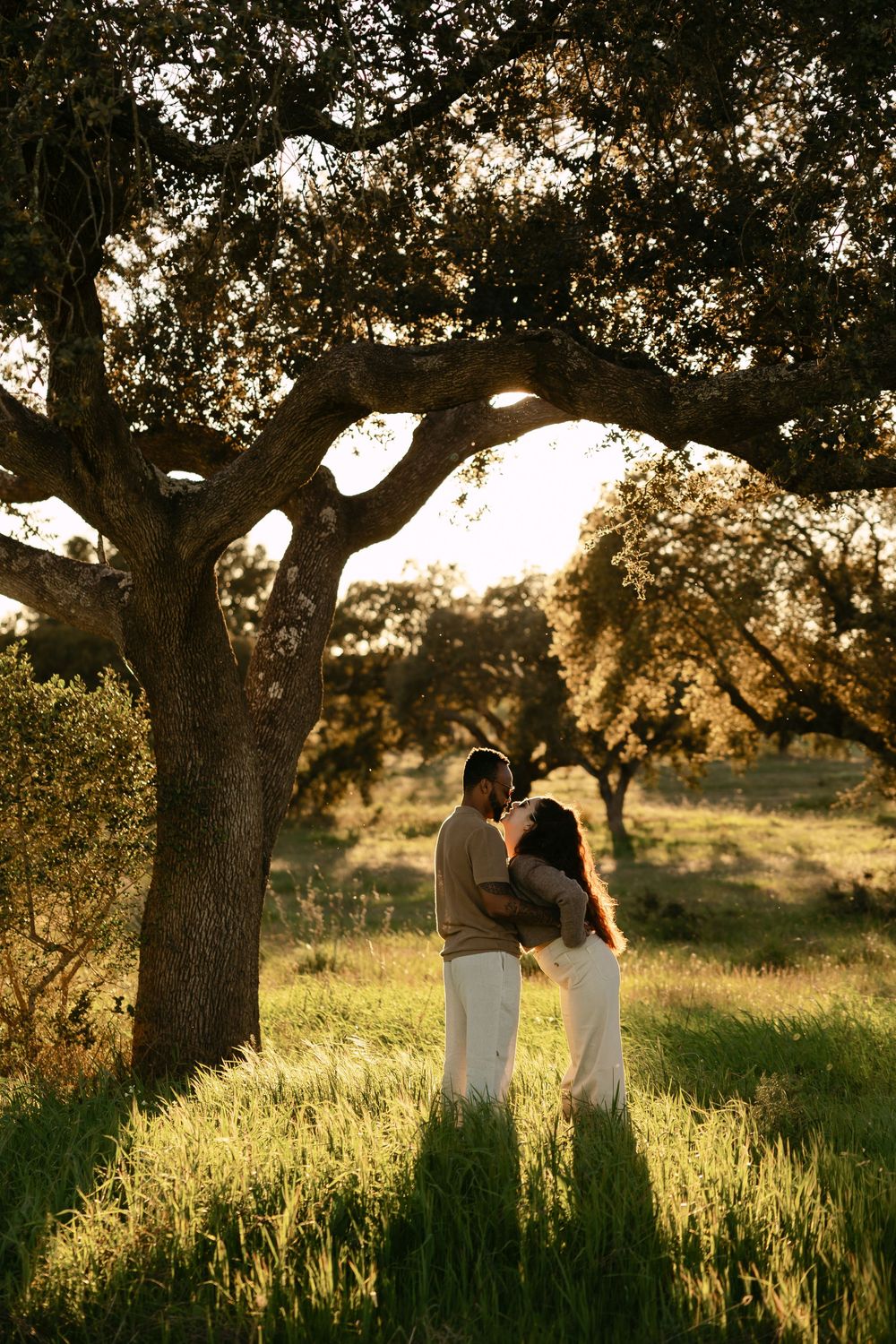 Couple sharing a romantic moment under a large oak tree in a sunlit green meadow during golden hour.